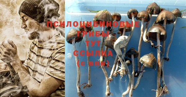 круглые Аркадак