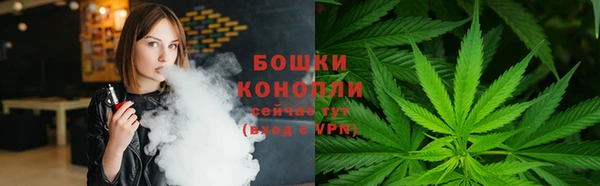 ешки Арсеньев