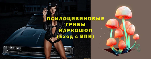 бошки Армянск