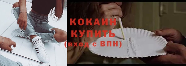 ешки Арсеньев