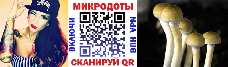 Псилоцибиновые грибы Cubensis Валуйки